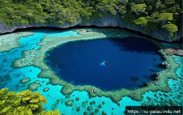 팔라우 유네스코 세계유산 - A breathtaking underwater scene of Palau’s Blue Hole, showcasing crystal-clear turquoise water fille...