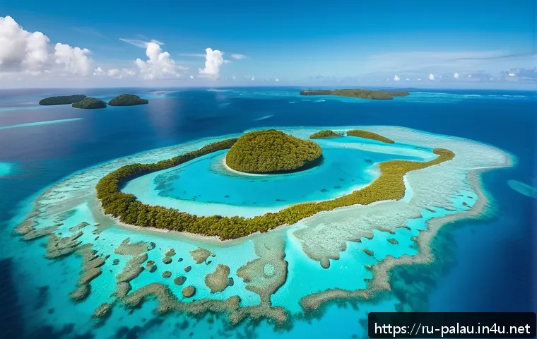 팔라우에서 드론 촬영 가능 여부 - A vibrant aerial view of Palau’s coral reefs and turquoise lagoons at sunrise, captured by a drone. ...